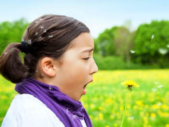 Hay fever can be awful for those who suffer from it.