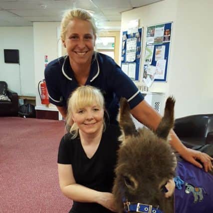 Teddy is a huge hit with the staff at Queens Meadow Care Home.