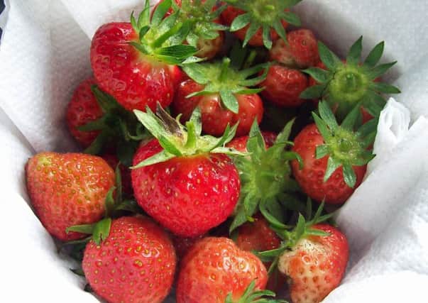 It's easy to get a good crop with strawberries.