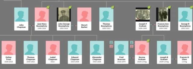 John Chapman family tree.