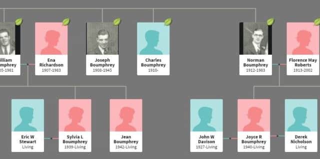 John Chapman family tree.