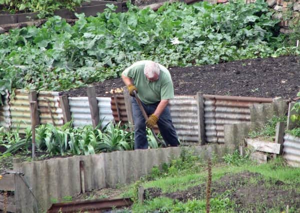 Taking care of an allotment is excellent exercise.