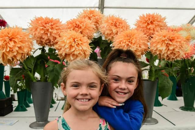 Mia, seven and sister Amy Howlett, 11, at the Hartlepool Show and Horticultural Festival at Rift House Recreation Ground.