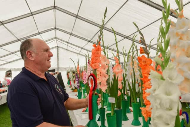 Philip Orley won best in 100/200 size Gladioli at the festival.