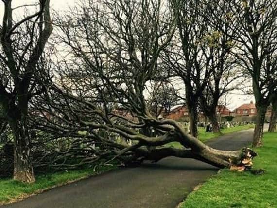 Met Office forecasters say trees could be blown down by Storm Helene.