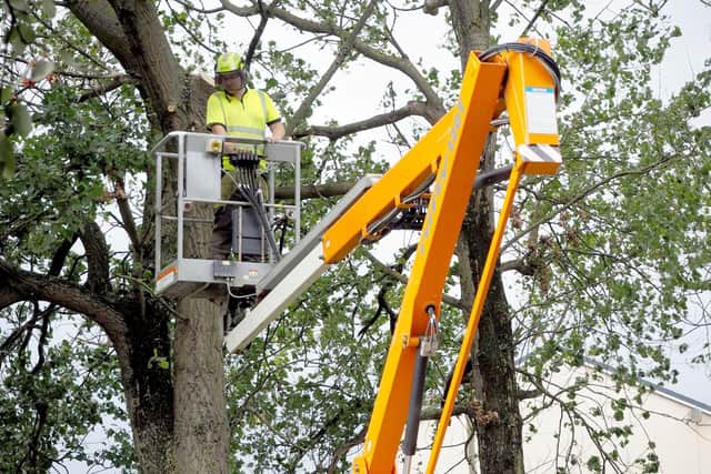 Council workmen make trees safe on the A689 Belle View Road in Hartlepool after Storm Ali battered the town with 60mph winds.
