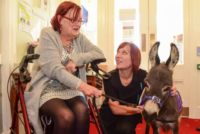 Teddy the Donkey from Blackberry Donkeys visiting Dinsdale Lodge Care Home,  Station Lane, Seaton Carew, on Wednesday. Bobbie Johnson and deputy manager Wendy Dick with Teddy.