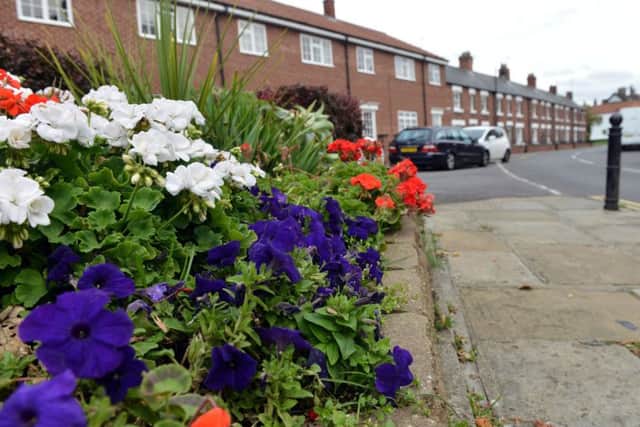 The RAF flowerbed in Greatham village. Picture by Frank Reid.