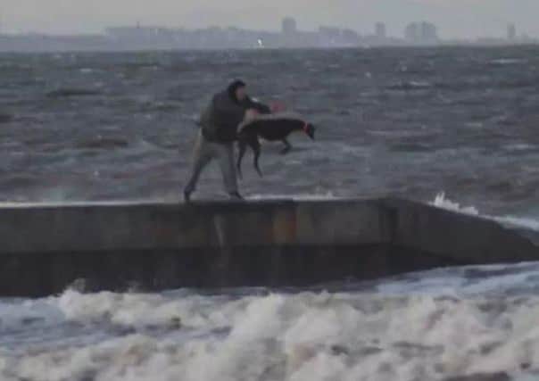 A dog is thrown into the sea off the Hartlepool coast.