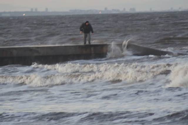 The animal in the freezing cold sea off Hartlepool.