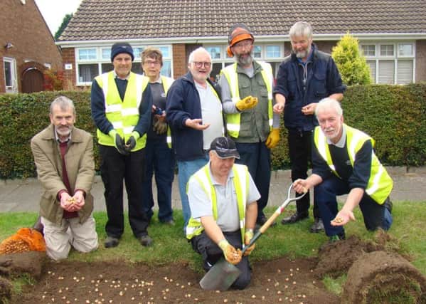 Fens residents and the Friends of Hartlepool's Wild Green Spaces team planted thousands of crocus bulbs on Cromer Walk.