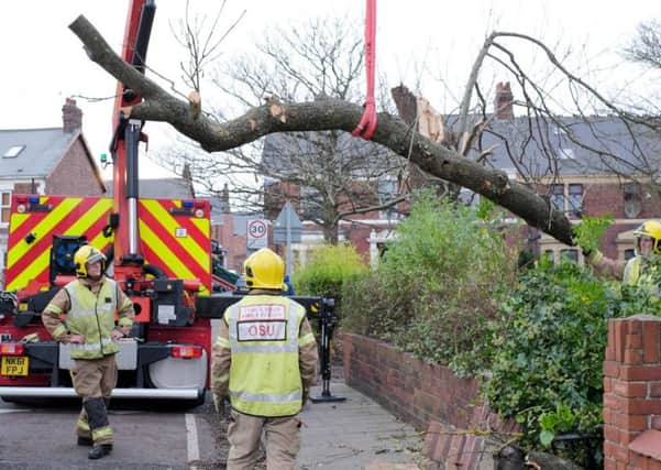 Firefighters dealing with a fallen tree. A councillor fears lack of management could lead to property being damaged and people being injured or even killed.