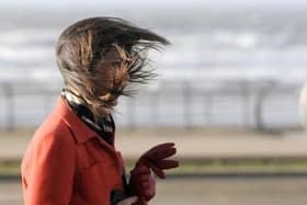 File picture: windy conditions this morning