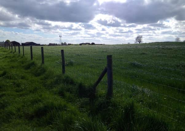 The edge of the land near High Tunstall Farm where up to 1,200 homes are planned to be built.
