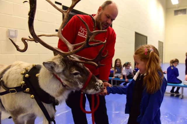 One of Santaâ¬"s reindeerâ¬"s dropped in to Eskdale Academy, Hartlepool, on Thursday, to meet the pupils. Pictured feeding the reindeer is Isabelle Dodgson with Geirge Richadson of Rent a Reindeer.