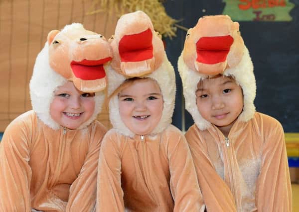 Camels (left to right) Lucas Williams, Nevaeh Stubbs and Jessica Zhang In the Ward Jackson Nativity play. Picture by FRANK REID