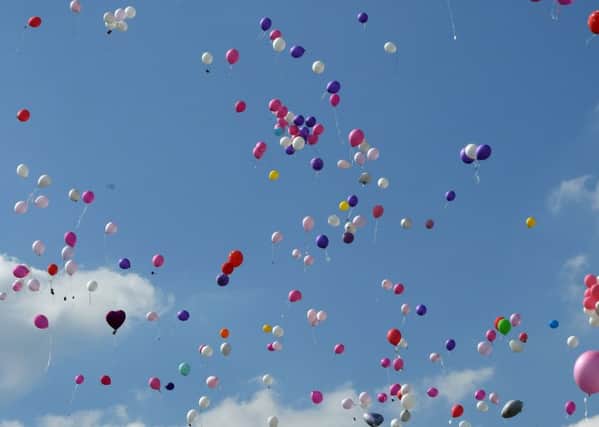Hartlepool Borough Council wants to see an end to mass ballon releases.