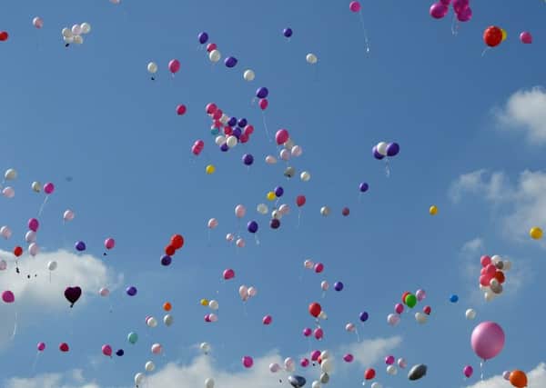 Hartlepool Borough Council chiefs agree to raise awareness of altrnatives to balloon releases.