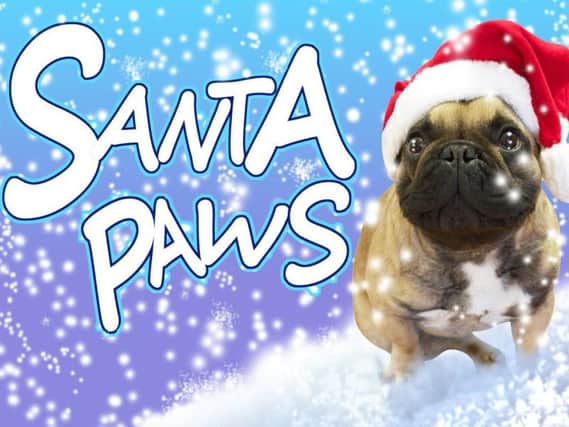 Vote now for your favourite Santa Paws picture.