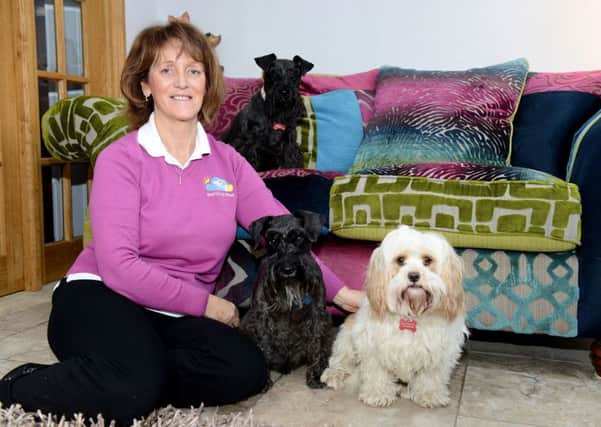 Tracy Johnston from Barking Mad with Tetley, Luna and Honey. Picture by Frank Reid.