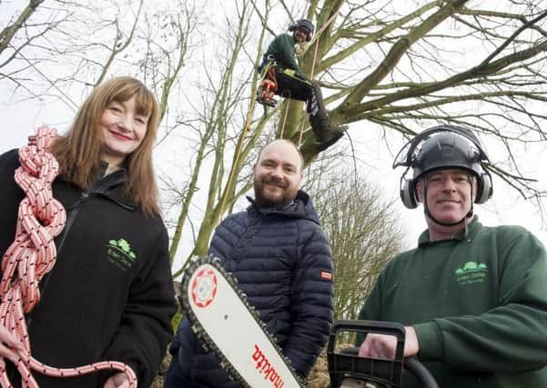 Rhys Williams (in tree) with his parents Karen and Lee (right) have launched Eden Dene Tree Services with support from Adam Clemerson, Go Grow