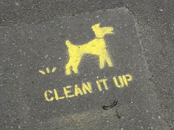 What do you think would help with dog fouling in Hartlepool?