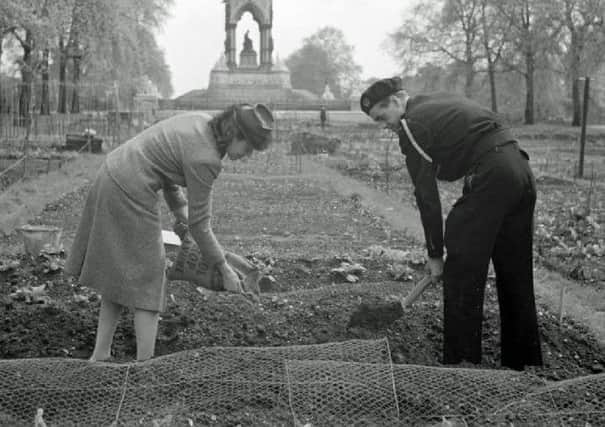 A woman and a Civil Defence Warden spread manure on their allotment in Kensington Gardens, 1942.