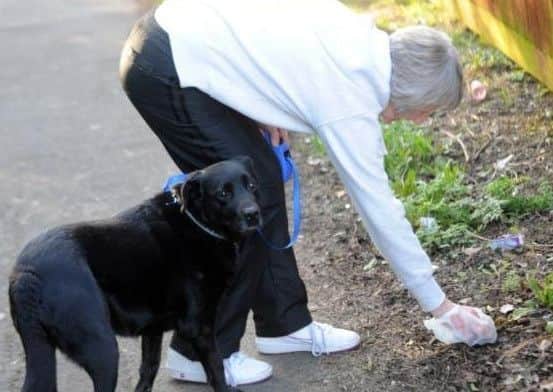 Dog owners in Hartlepool face £100 fines for not being prepared to clean up after their pets