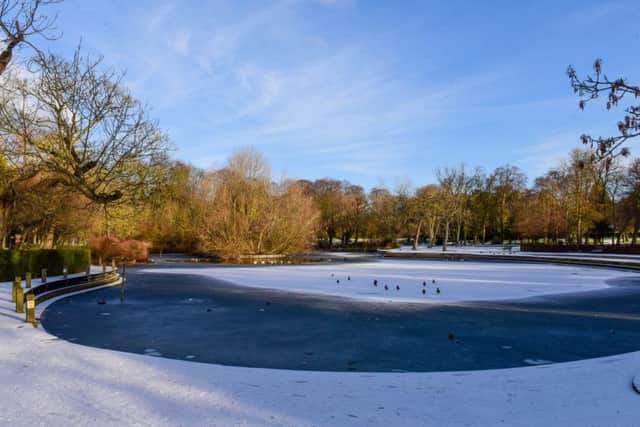Partially frozen, snow-covered pond in Ward Jackson Park.