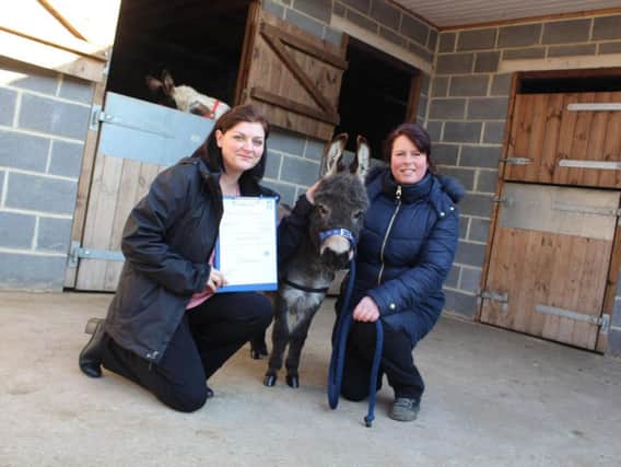 Owner of Blackberry Donkeys Marie Bates (right) and Hartlepool Borough Council Technical Officer for Licensing Dawn Howley (left) with Teddy the Donkey.