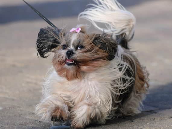 It's set to be another windy one today