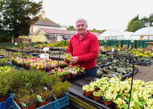 Reg Hutchinson of Grove House Plants, The Drive, Greatham, which has reopened after a fire in December.