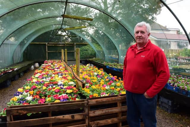 Reg Hutchinson in one of the nursery's new polytunnels built with the help of the local community.