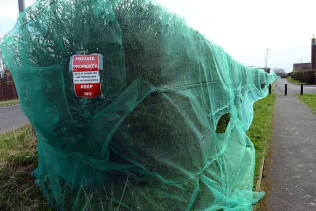 A sign warning that anyone damaging the netting will be prosecuted