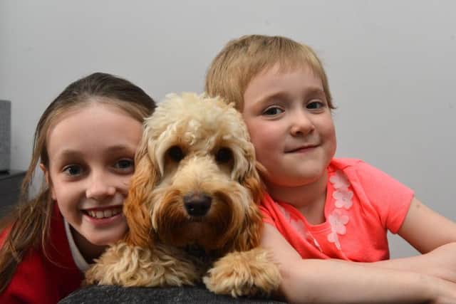 Bring Back a Smile campaign to get Daisy Sayers, 3 a trip to Disney World, with sister Poppy, 8 and dog Fudge