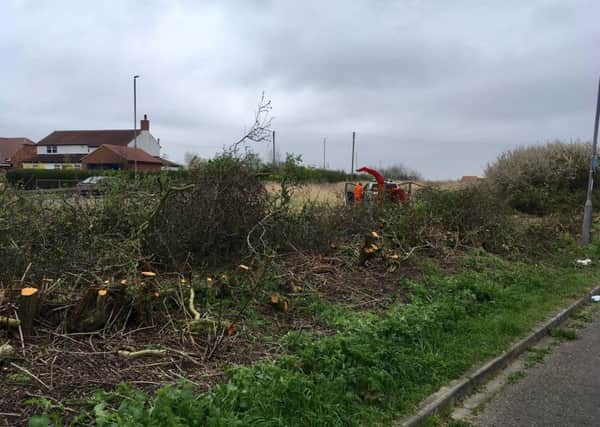 The hedge off Worset Lane being cut down on Saturday, April 6, 2019.