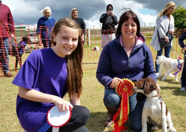Rosettes are awarded for the top three dogs in each class.
