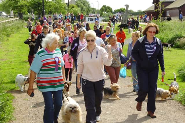 The event's sponsored dog walk at Summerhill in 2013.