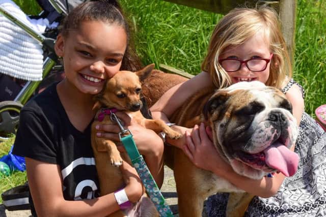 Rhianna Ibrahim (12) (left) with Princess and Madeline Cranney  (7) with Winston at last year's Big Dog's Day Out.