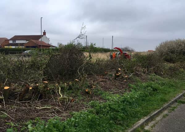 The hedge off Worset Lane being cut down