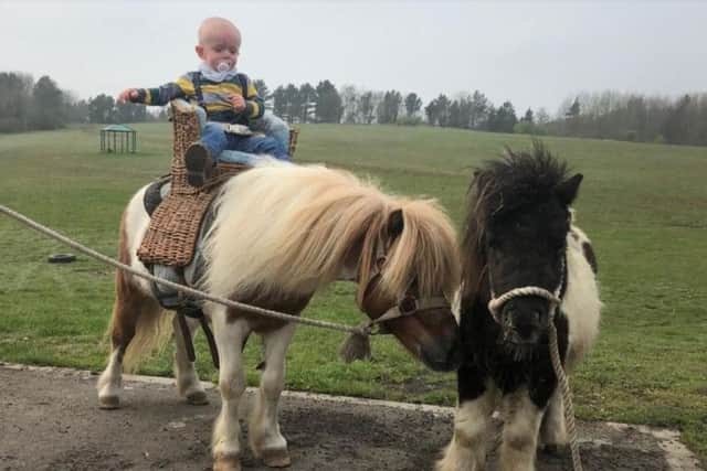 Teddie McCallum's family has been supported by the horse and travelling community.