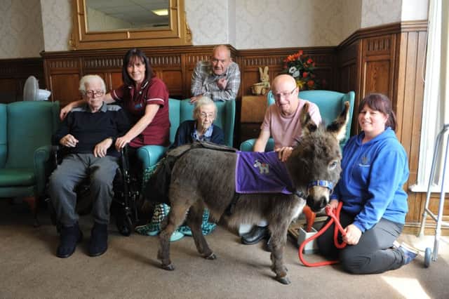 Seaton Hall Residential Home residents enjoy a visit from Teddy the donkey.