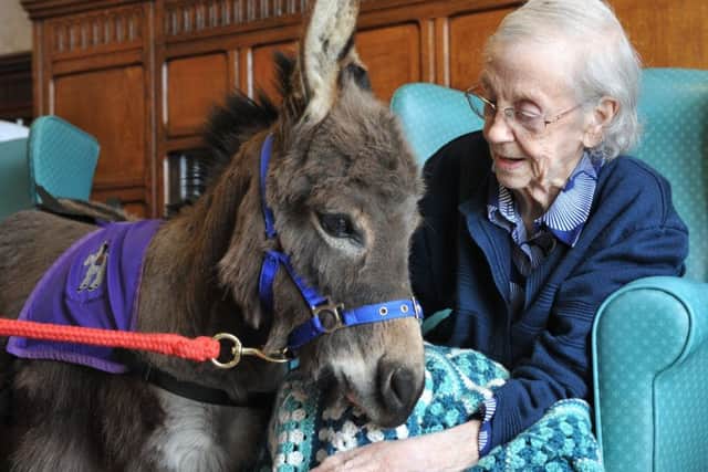 Seaton Hall Residential Home resident Peggy Hendy meets Teddy.
