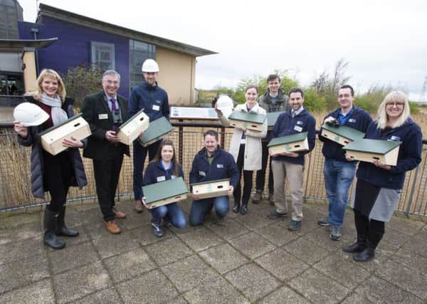 The RSPB Saltholme team and SABIC representatives with the new swift birdboxes.
