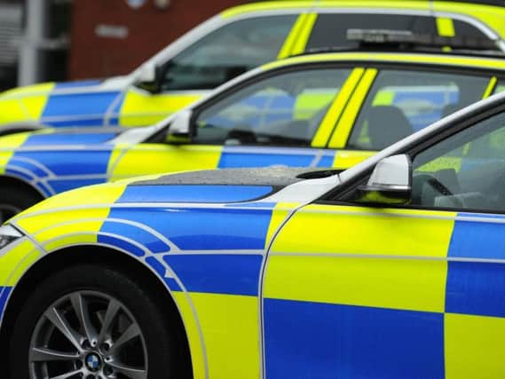 Police are appealing for information following an incident on the A19 in which a dog was killed.