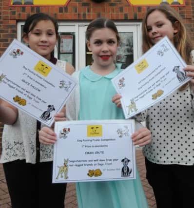 (l to r) Blackhall Primary School pupils Grace Fallow, 10, Emma Crute, 9 and Robyn Dowling, 10 with the certificates they were given for a poster design competition.