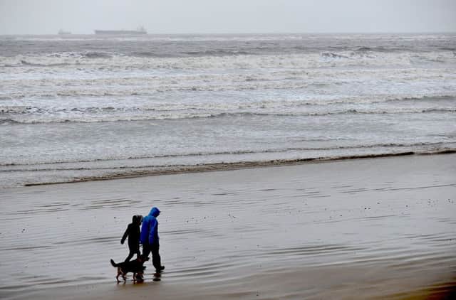 Sea coalers could soon be able to legally access beaches in Hartlepool.