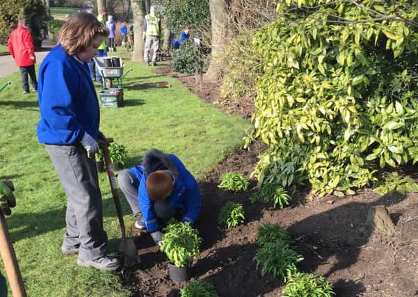 Children planting in Burn Valley Park  but just days later a thief removed a number of plants.