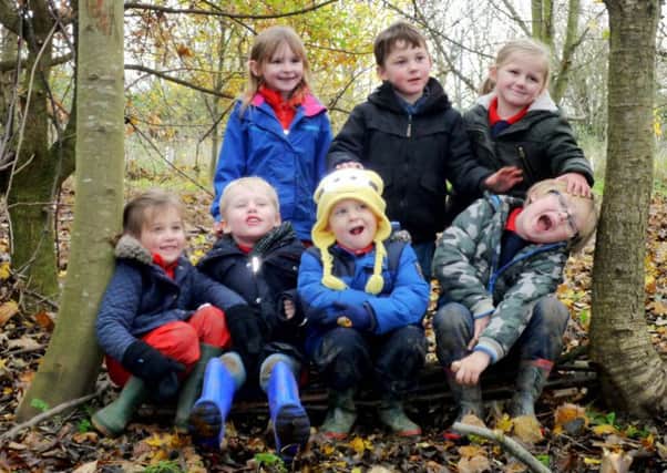 Forest School fun at Summerhill Country Park.