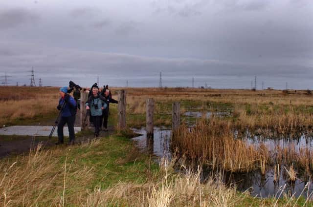 The RSPB Saltholme nature reserve. Will you attend the event on May 1?